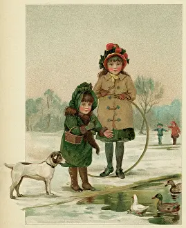 Duckpond: DUCKPOND IN WINTER
