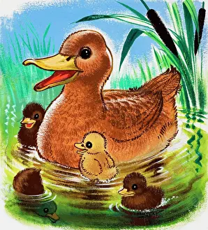 Bullrush: Ducks