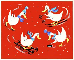 Tobogganing: Ducks doing winter sports