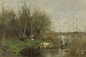 Bstp1601: Ducks Beside a Duck Shelter on a Ditch
