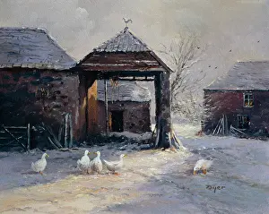 Dyer: The Ducks were still in the farmyard ?