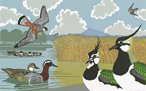 Linocut: Ducks, Lapwings, Falcons