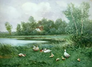Artz: Ducks by a Pond