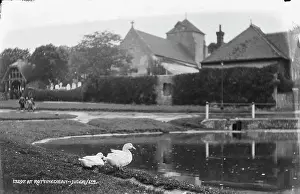 Ducks: Ducks by the Pond in Rottingdean