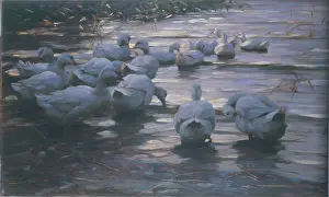 Koester: Ducks in Reflected Light on the Lake Shore