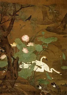 Splendid: Ducks in a Wood