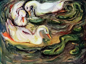 Duckweed: Duckweed
