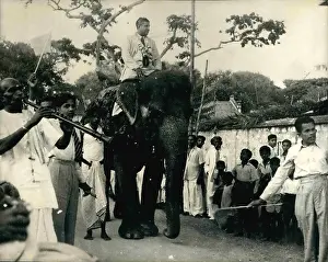 Senanayake: Dudley Senanayake riding an elephant, Ceylon (Sri Lanka)