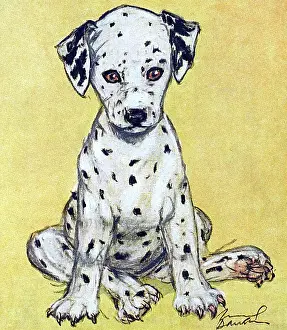 Muriel Dawson Collection: This is Duff, by Muriel Dawson
