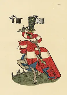 Equestre: Duke of Austria, Duc d'Autriche