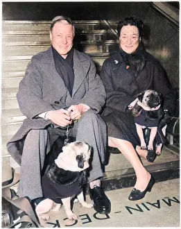 Pugs: Duke and Duchess of Windsor with their pugs