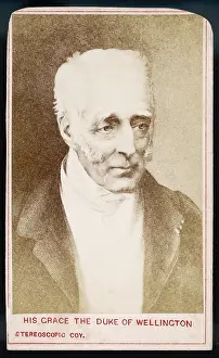 Stereo: DUKE WELLINGTON/STEREO
