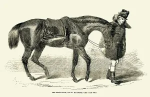 Mears: Duke of Wellington's horse and groom
