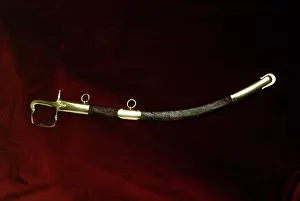 Wellingtons: Duke of Wellington's sabre