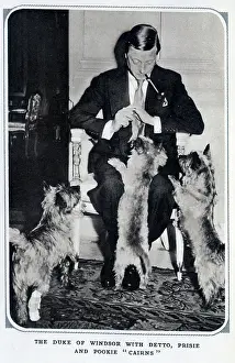 Cairns: Duke of Windsor with dogs
