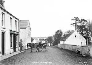 Pony: Duneane, Toomebridge