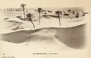 Windswept: The dunes at Colomb-Bechar - Algeria