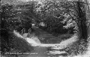Midhurst: Dunford Hollow Bridge