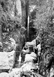 Dungeon: Dungeon Ghyll, Dungeon Ghyll Force 1888