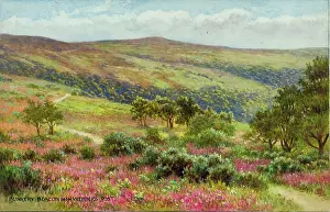 Webber: Dunkery Beacon, from Webber's Post, Exmoor, Somerset