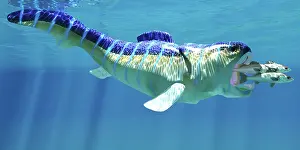 Perch: Dunkleosteus fish eating a sea perch