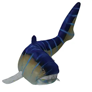 Paleozoic: Dunkleosteus fish, front view