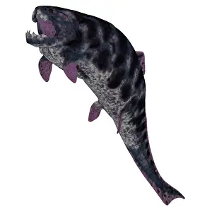 Terrelli: Dunkleosteus prehistoric fish from the Devonian period