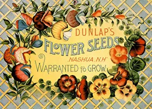 Lattice: Dunlap's Flower Seeds