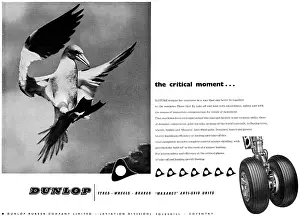 Maxaret: Dunlop Aviation Division Wheels, Tyres & Brakes Maxaret