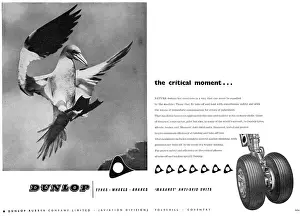 Maxaret: Dunlop Aviation Division Wheels, Tyres & Brakes Maxaret