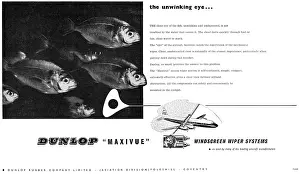 Maxivue: Dunlop Maxivue