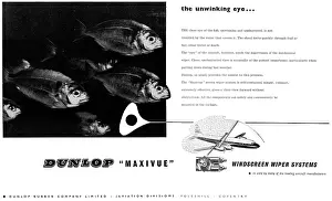 Wiper: Dunlop Maxivue Winscreen Wiper Systems