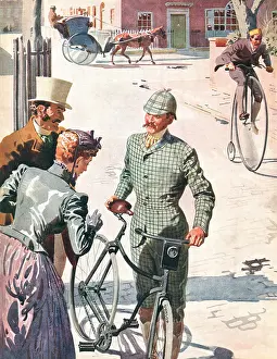 Petts: Dunlop Rubber Advertisement