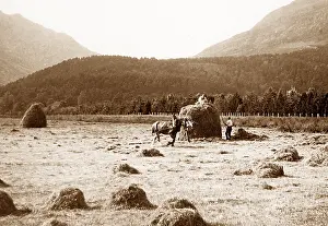 Crofter: Dunoon Haymaking Victorian period