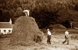 Crofter: Dunoon Haymaking Victorian period