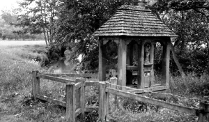 The Francis Frith Collection: Dunsfold, the Holy Well c1955
