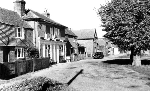 C1960: Dunsfold, the Sun Inn c1960
