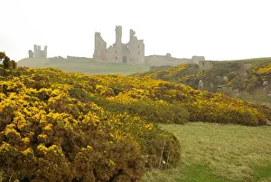 Dunstanburgh: Dunstanburgh Castle, Northumberland