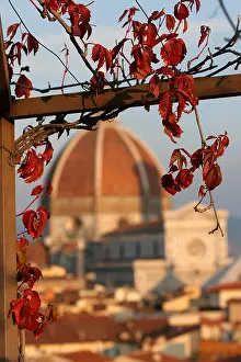 Fiore: Duomo, Florence