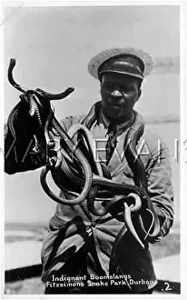 Indignant: DURBAN SNAKE HANDLER