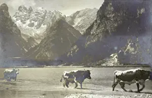 Cristallo: Durensee with a view toward Monte Cristallo