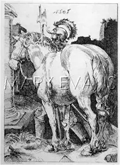 Durers: DURER'S GREAT HORSE