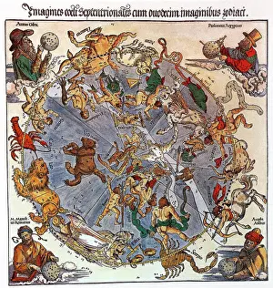 Charts: Durer's Star Charts