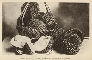 Smelly: Durian fruit from Singapore