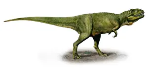Megalosaurid: Duriavenator hesperis, a prehistoric era dinosaur