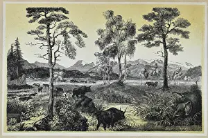 Buri: Durnten during the formation of lignite