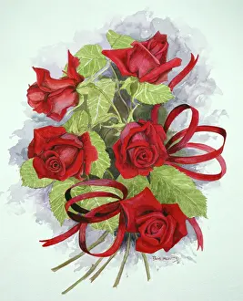 Hewitt: Dusky Red Roses with Ribbon