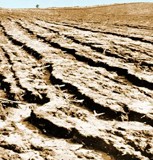 Intense: Dust Bowl Erosion