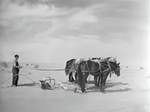 Drifts: Dust - dust bowl - natural disaster - Oklahoma