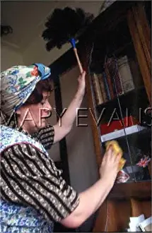 Dusts: DUSTING A BUREAU